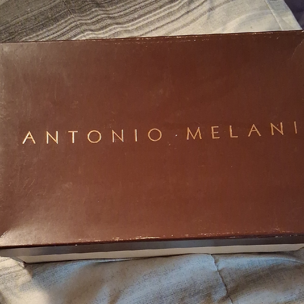Antonio Melani Chocolate Brown Box with Gold Lettering